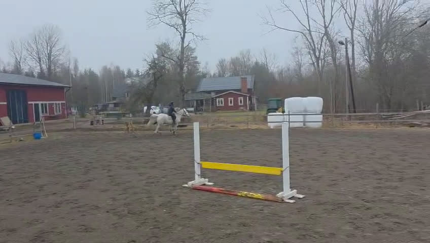  hästservice finnes: hästar för utbildning, träning och tävling.  - Video 1