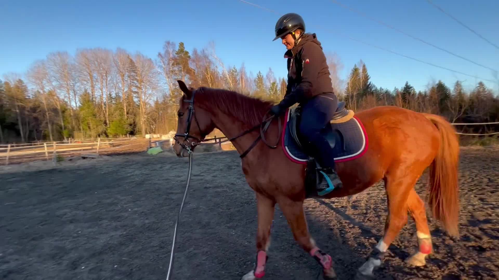 Allround hästar till salu: Mycket trevlig unghäst - Video 3