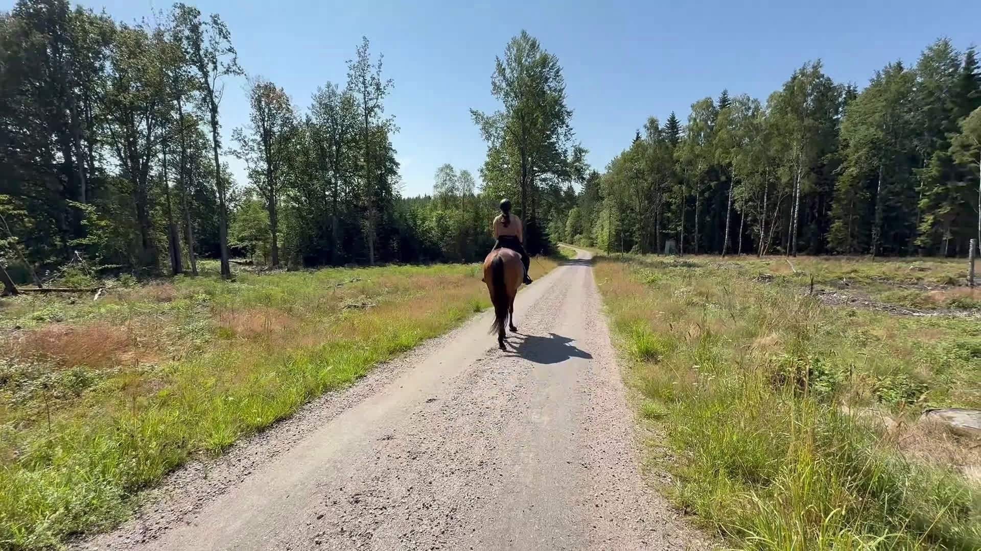 Allround hästar till salu: RESERVERAD- Världens bästa unghäst söker hem - Video 4
