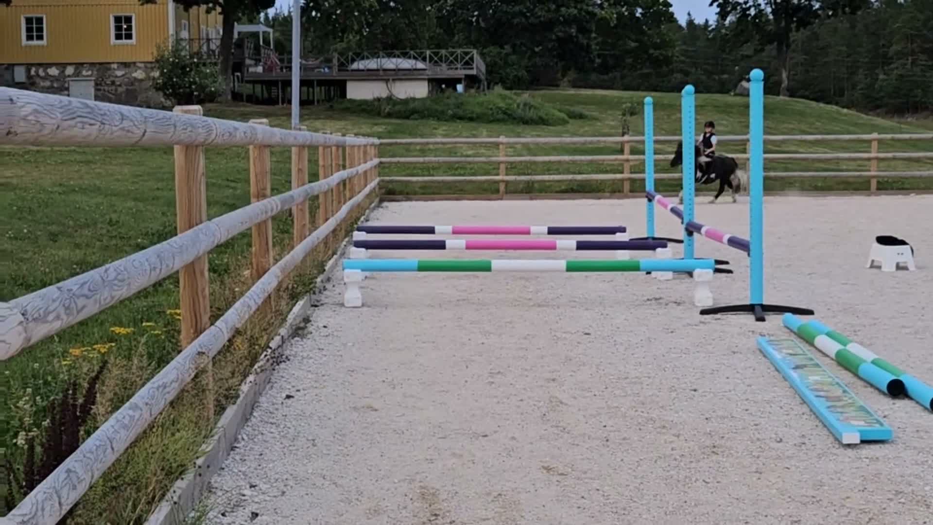 Körning hästar till salu: *reserverad* Snällaste ponnyn - Video 2