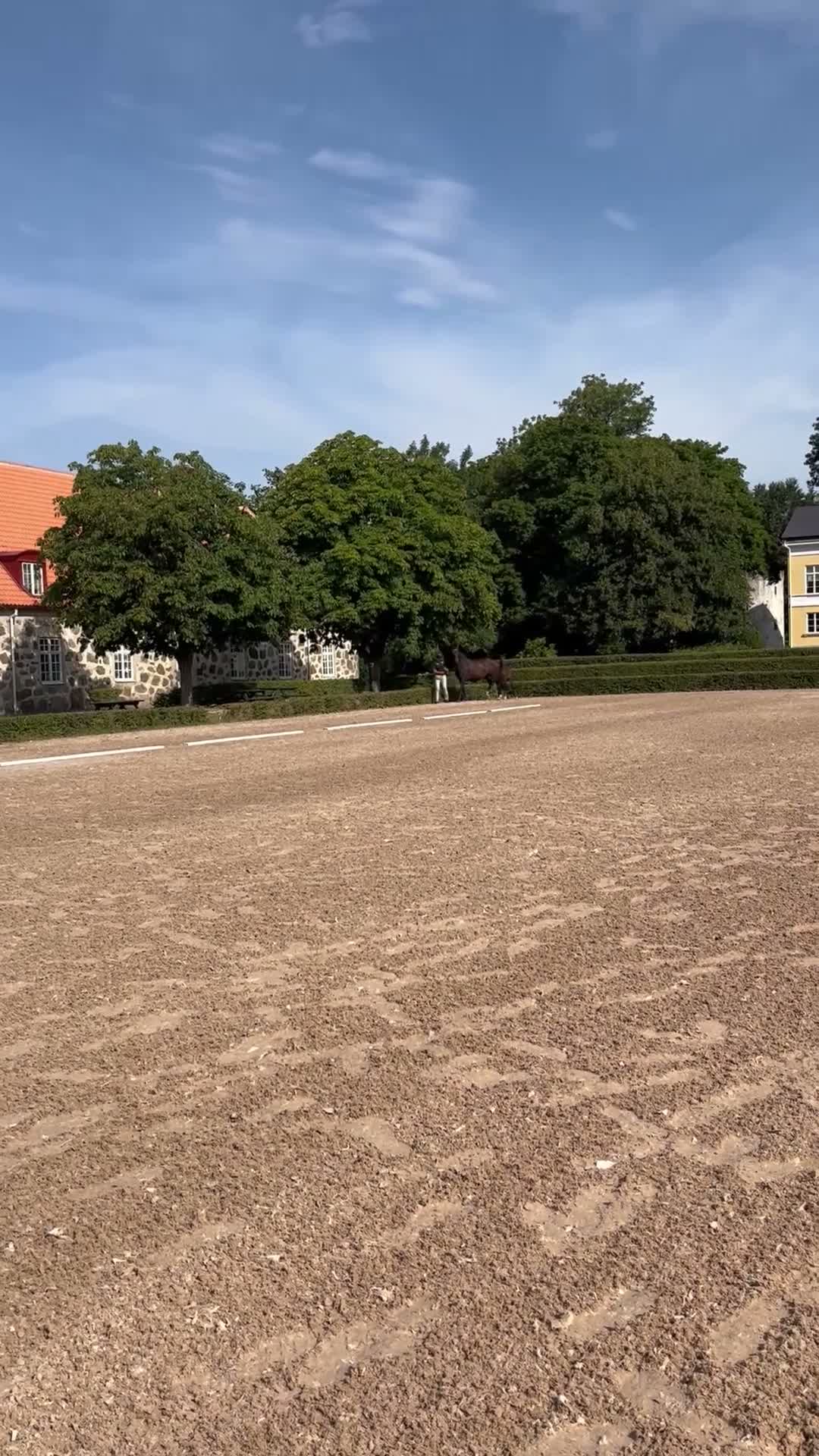 Dressyr hästar till salu: Fantastiskt fint & rörligt föl i Vollsjö - Video 2