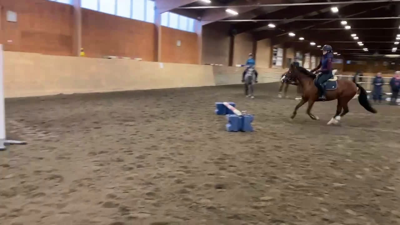 Hoppning hästar till salu: Lovande C-ponny i Bollnäs - Video 3