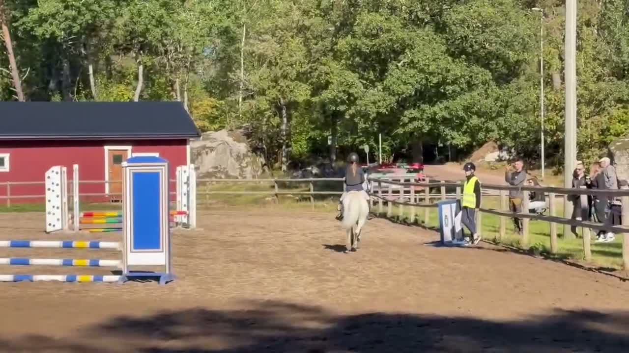 Allround hästar till salu: Megan - Video 2