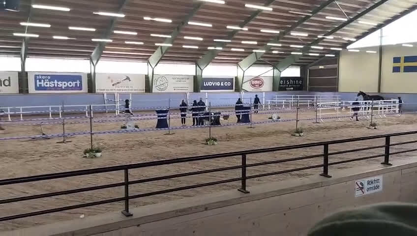Allround hästar till salu: Trevligt allround sto för framtiden 🐴 i Skövde - Video 1