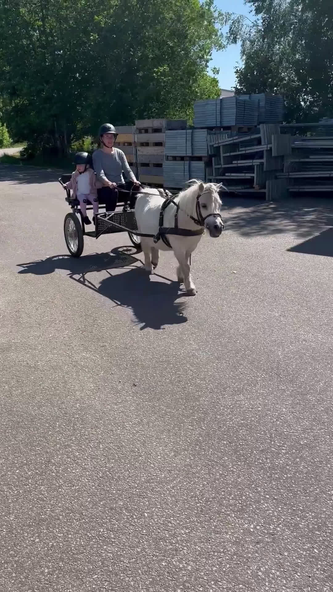 Allround hästar till salu: Världens bästa ponny söker ny bästa kompis - Video 1