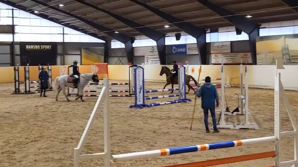 Allround hästar till salu: Snäll o go ponny vill ha en bästa vän.  - Video 4