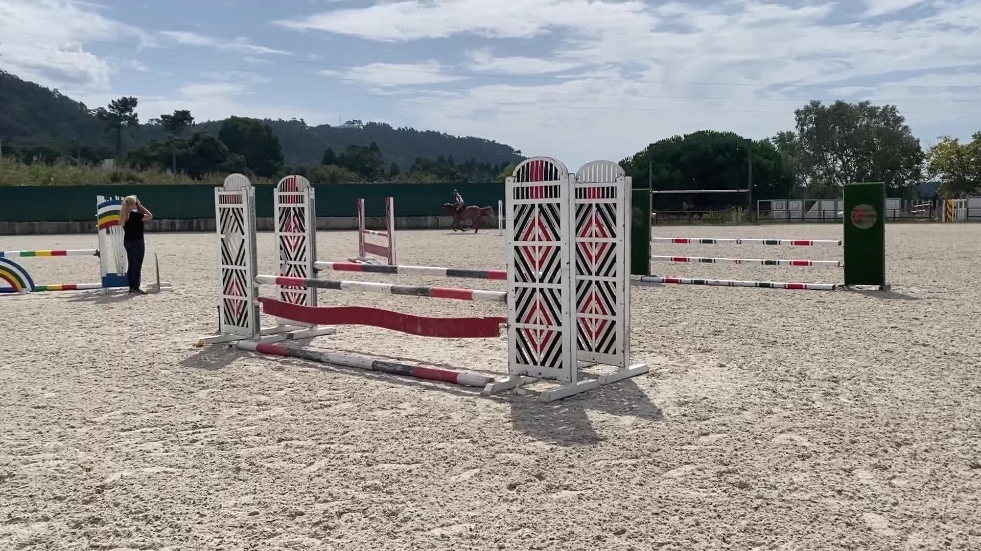  medryttarhäst finnes: Intelligent Lusitano/Breton sto är utråkad - Video 1