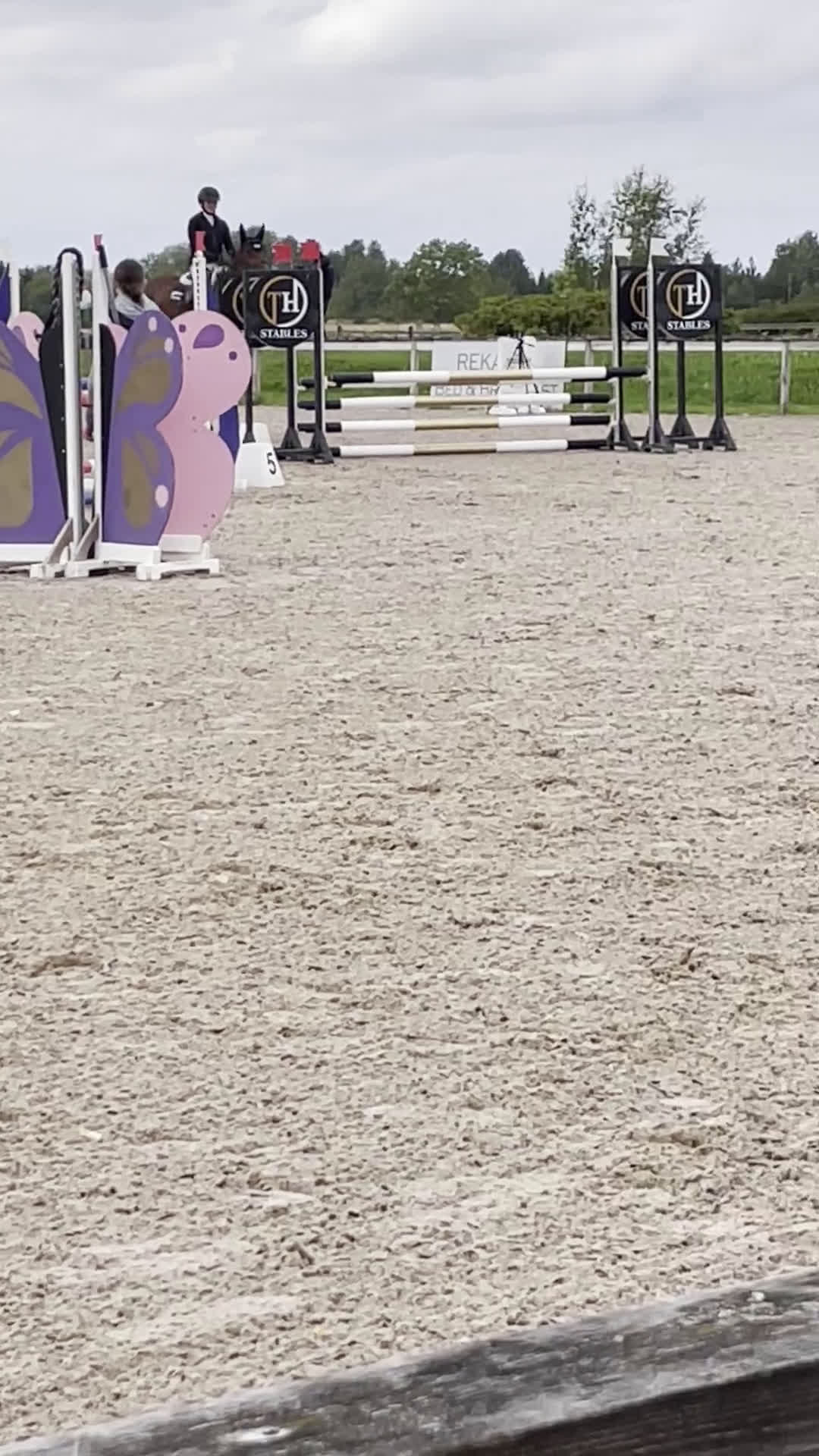 Hoppning hästar till salu: SWB valack med hoppstam i Strängnäs - Video 4