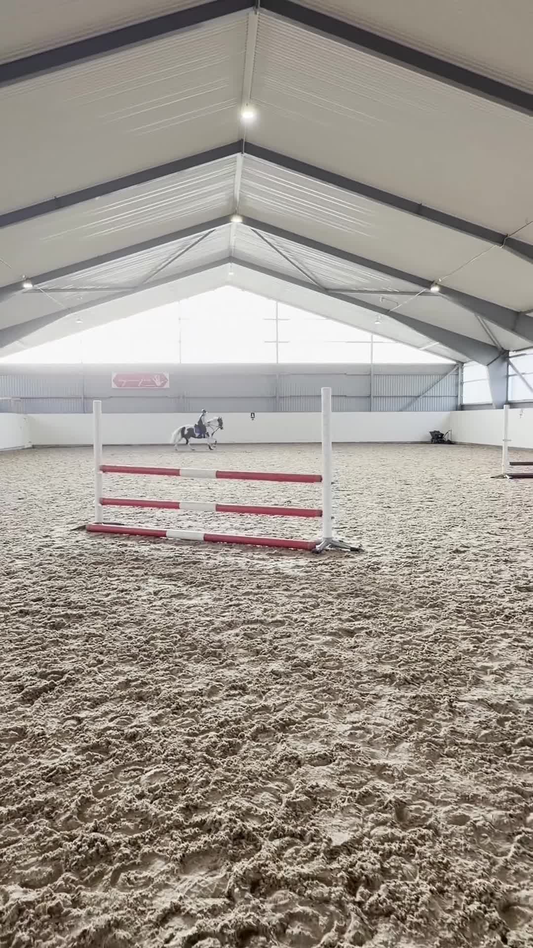Hoppning hästar till salu: Maxad B-ponny med personlighet och potential i Halmstad - Video 4