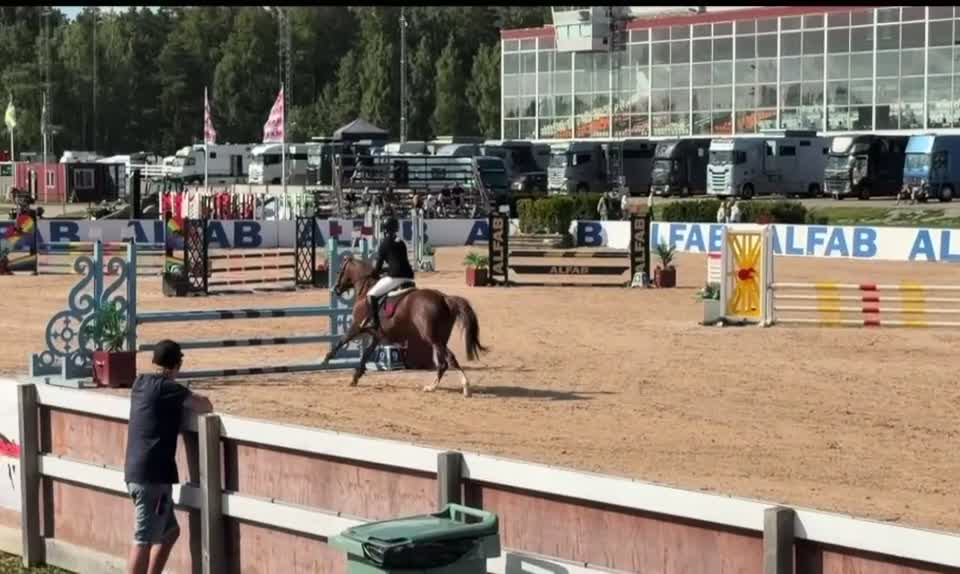 Hoppning hästar till salu: Lovande ungponny med SM silver 2026 - Video 1