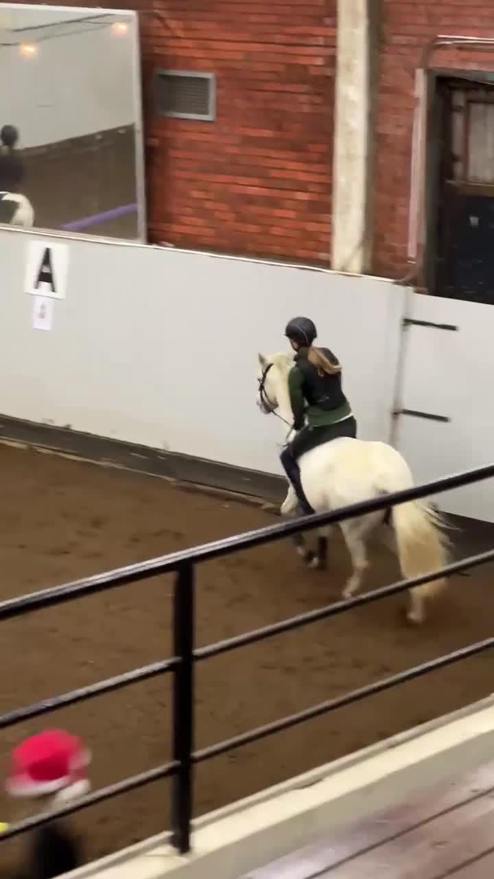  medryttarhäst sökes: Medryttarhäst sökes! - Video 1