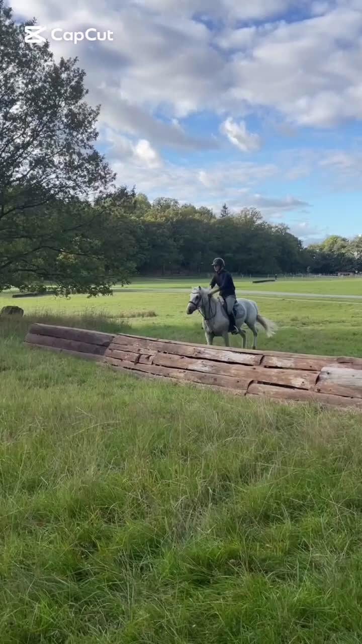 Allround hästar till salu: Renrasig Connemara bytes/säljes - Video 1