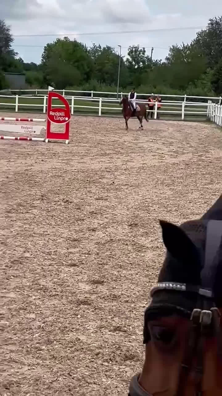 Hoppning hästar till salu: Bästa vän och tävlingskompis D-ponny i Falköping - Video 1