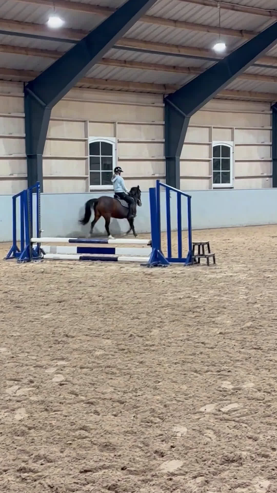 Allround hästar till salu: Lyxig läromästare! i Veddige - Video 3