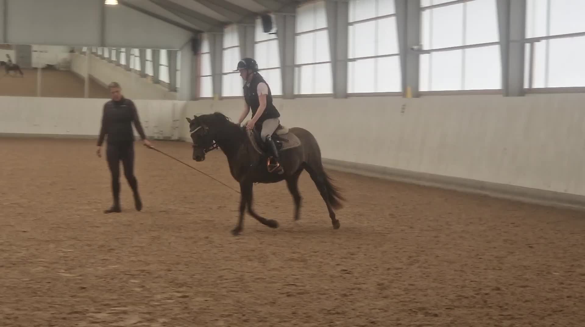 Allround hästar till salu: Ljuvlig ponny - Video 4