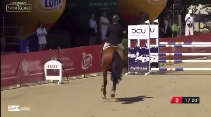 Fälttävlan hästar till salu: Fälttävlanshäst i Flyinge - Video 4