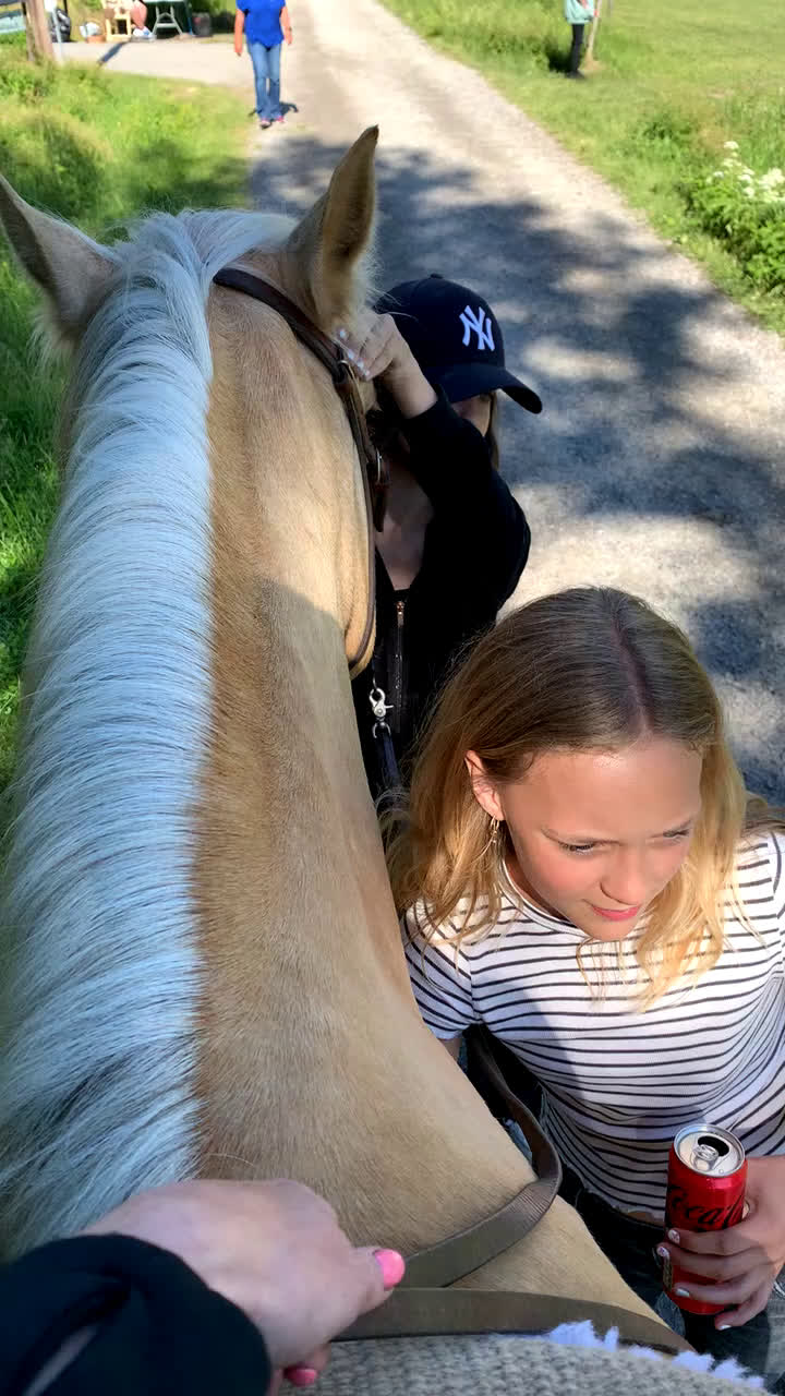 Allround hästar till salu: Fantastiskt sto utöver de vanliga! i Haninge - Video 3