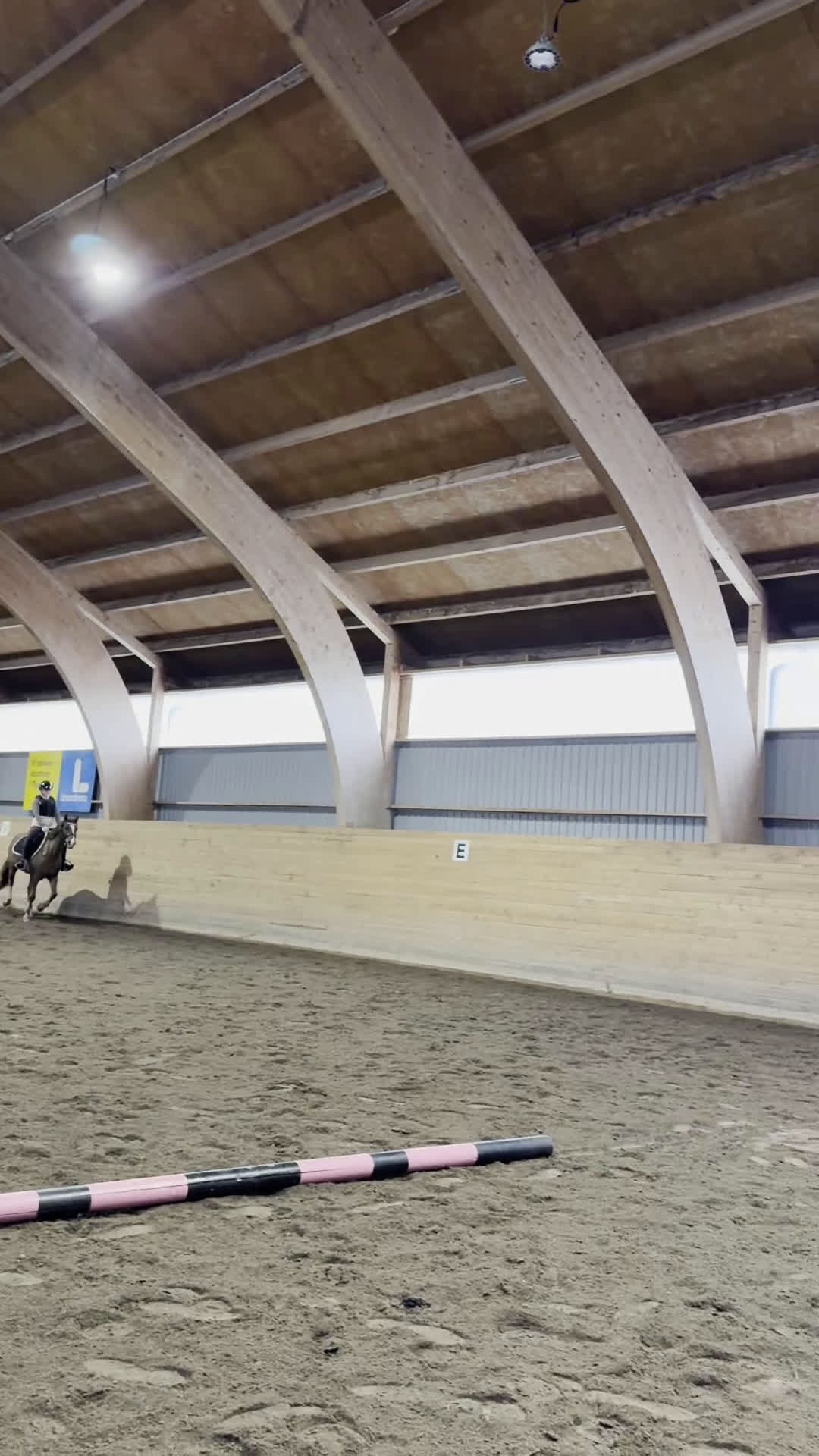 Allround hästar till salu: Ljuvligt fux-sto - en riktig prinsessa! D-ponny i Tidaholm - Video 4