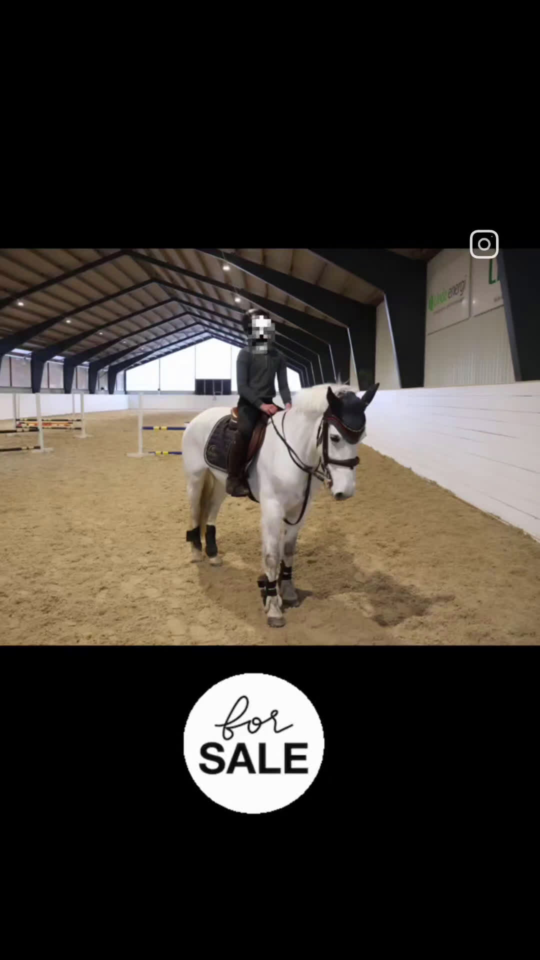 Hoppning hästar till salu: ENORM KAPACITET - HOPP PONNY! - Video 1