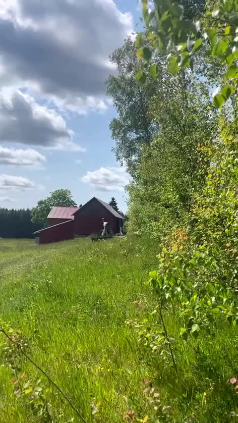 Hoppning hästar till salu: Pigg Rosettplockare i Grebbestad - Video 3
