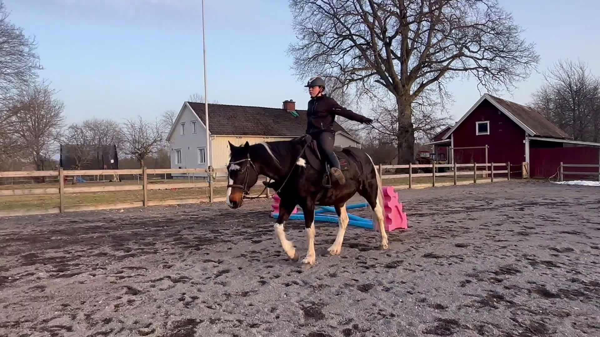 Allround hästar till salu: Familj/verksamhetshäst - Video 1