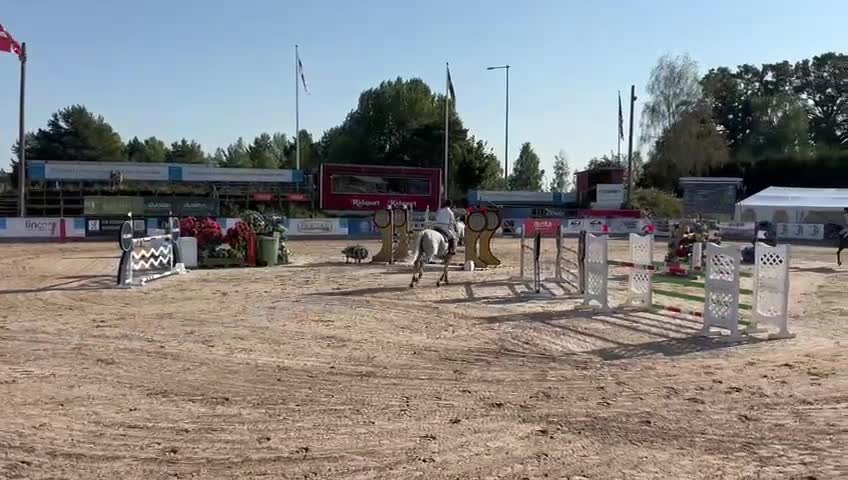 Hoppning hästar till salu: Välhoppande 10-årig valack i Visby - Video 1