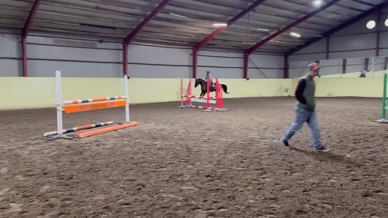 Dressyr hästar till salu: Maxad D-ponny  - Video 5