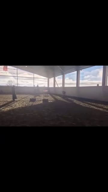 Allround hästar till salu: Morgan valack i Sätila - Video 2