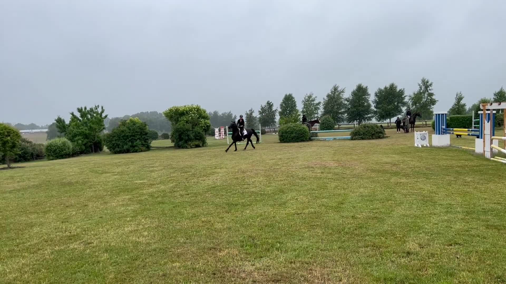 Fälttävlan hästar till salu: Fantastiskt sto säljes  - Video 4