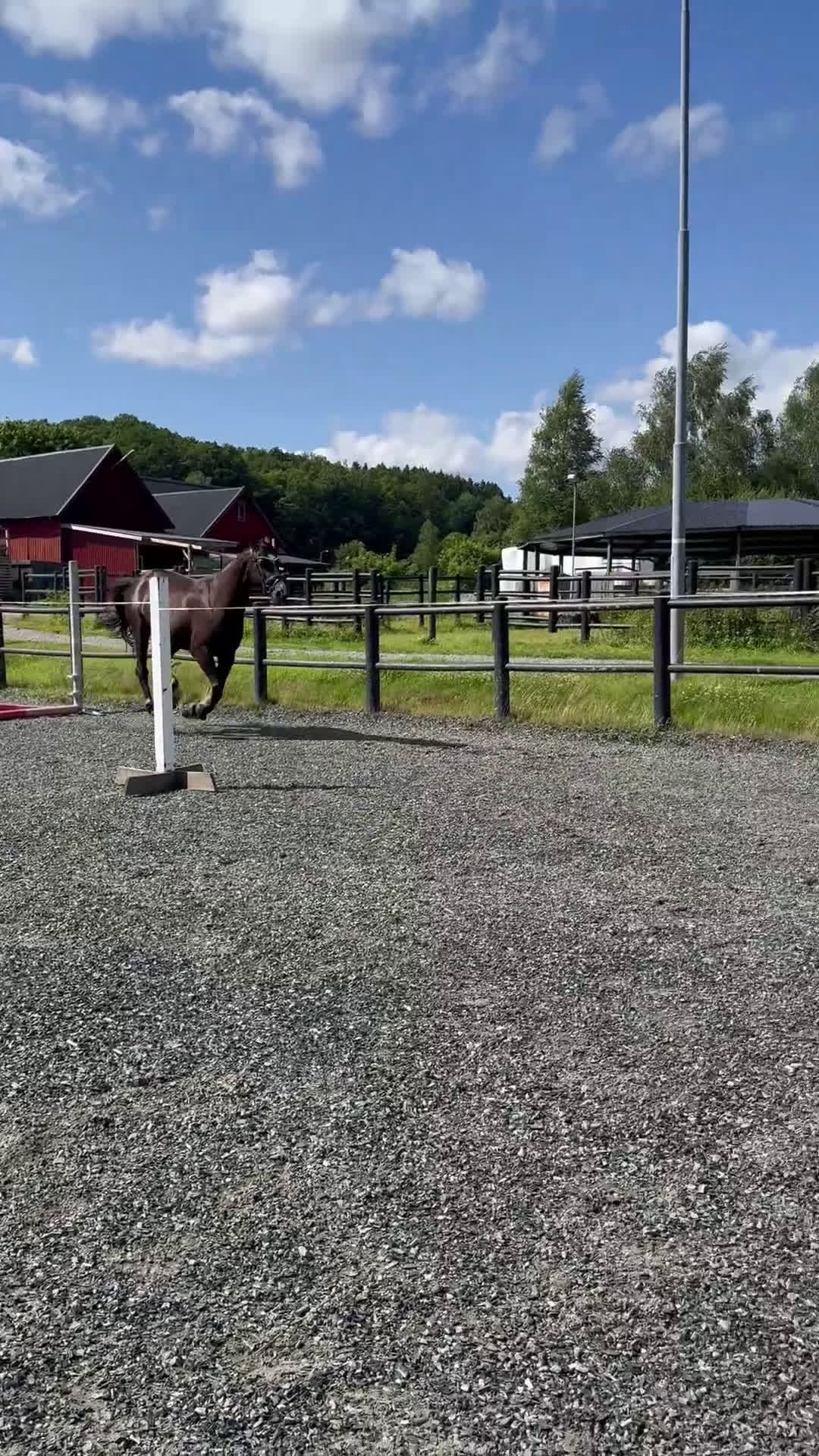 Avel hästar till salu: Snyggt avelsto!/Sällskap i Berghem - Video 1