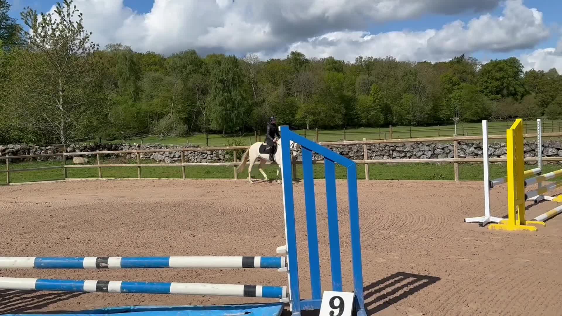 Allround hästar till salu: 🤍Drömponnyn🤍 - Video 1