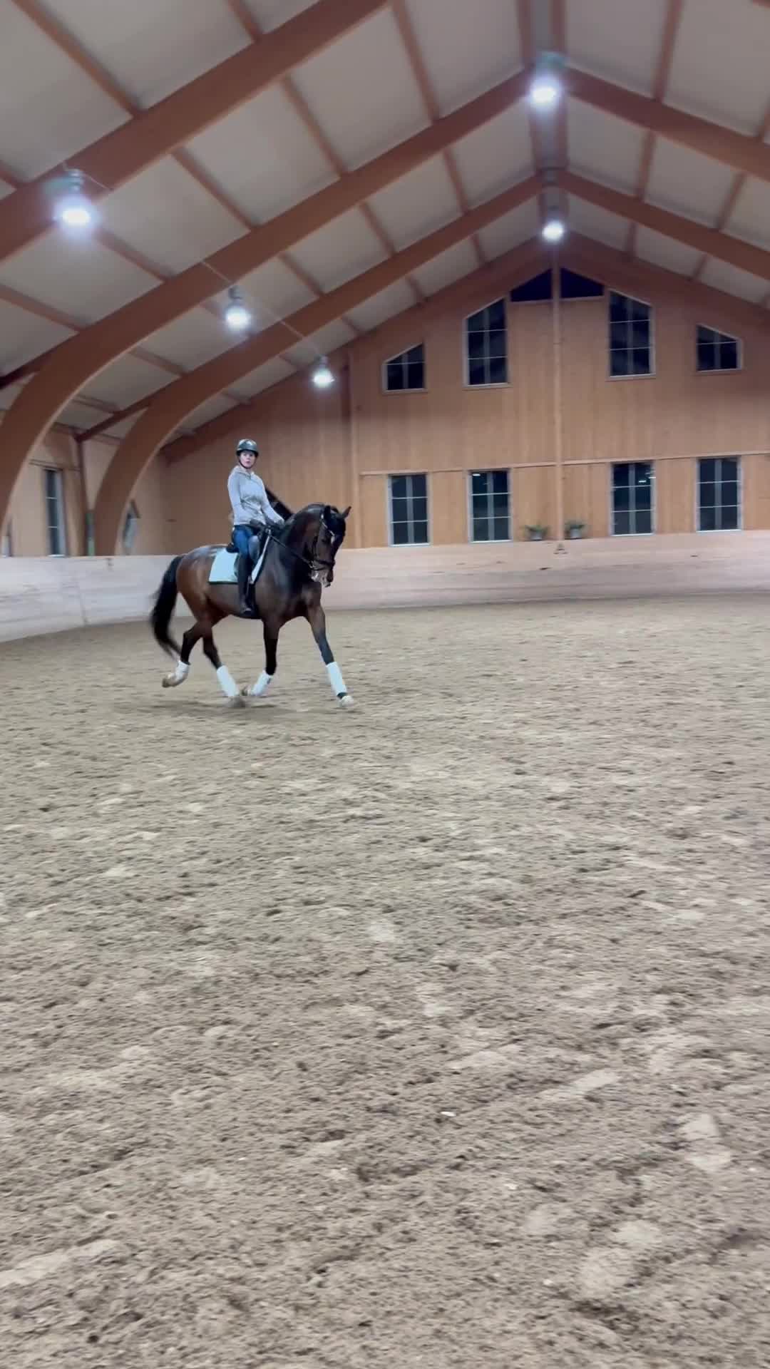 Dressyr hästar till salu: Fantastisk dressyrhäst i Ekerö - Video 1