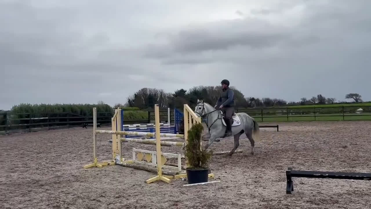 Hoppning hästar till salu: Fantastisk ponny!!💫💕 - Video 2