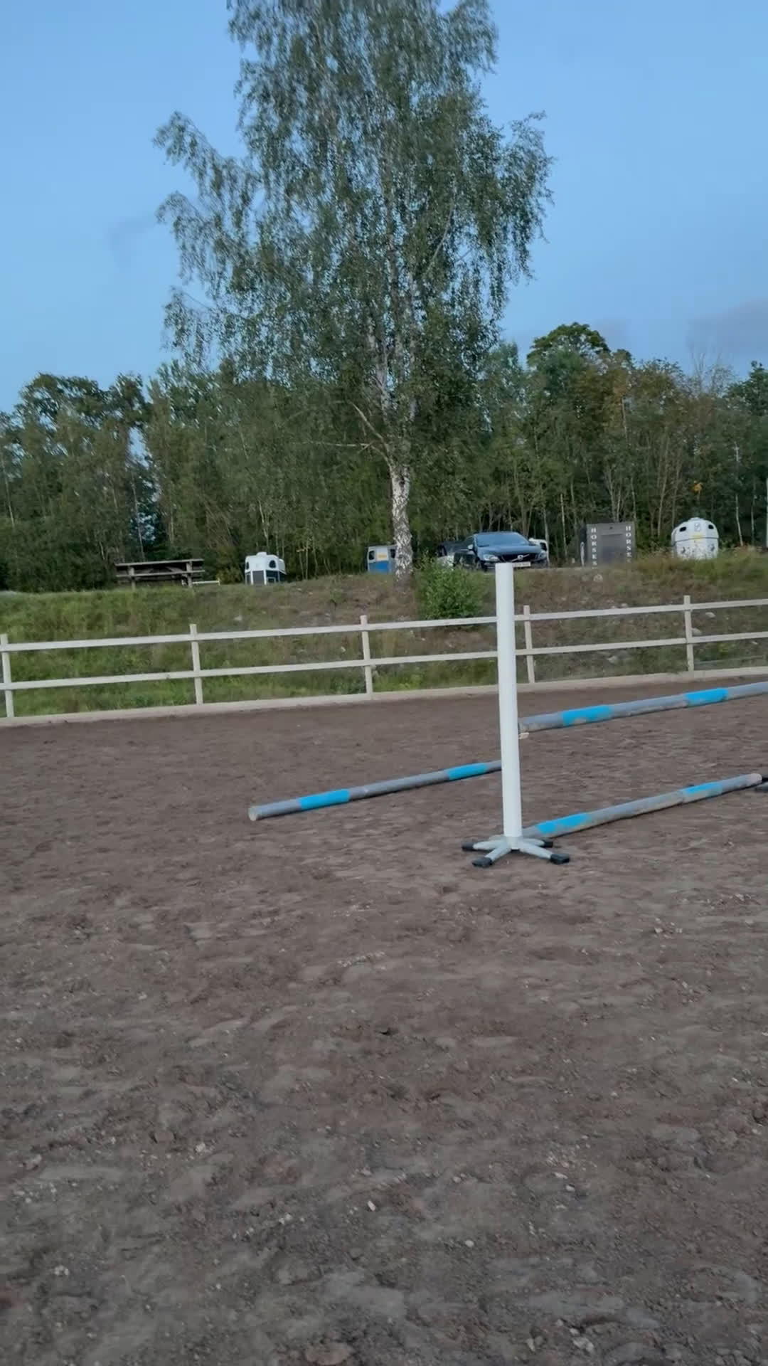 Allround hästar till salu: Charmig c-ponny i Västerås - Video 5