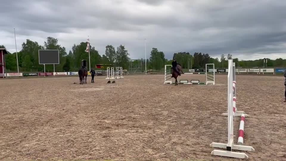 Fälttävlan hästar till salu: Trevlig fälttävlansponny⭐️ i Västervik - Video 4