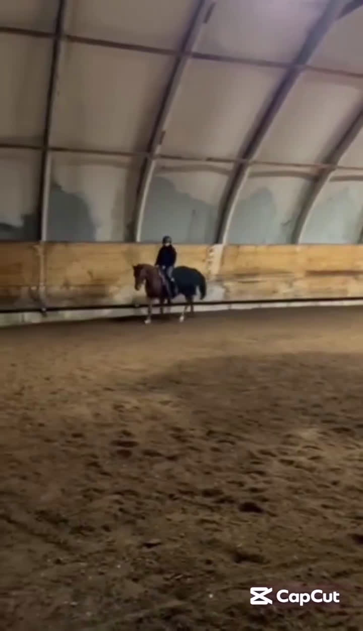 Hoppning hästar till salu: Hoppglad ponny i Vadstena - Video 1