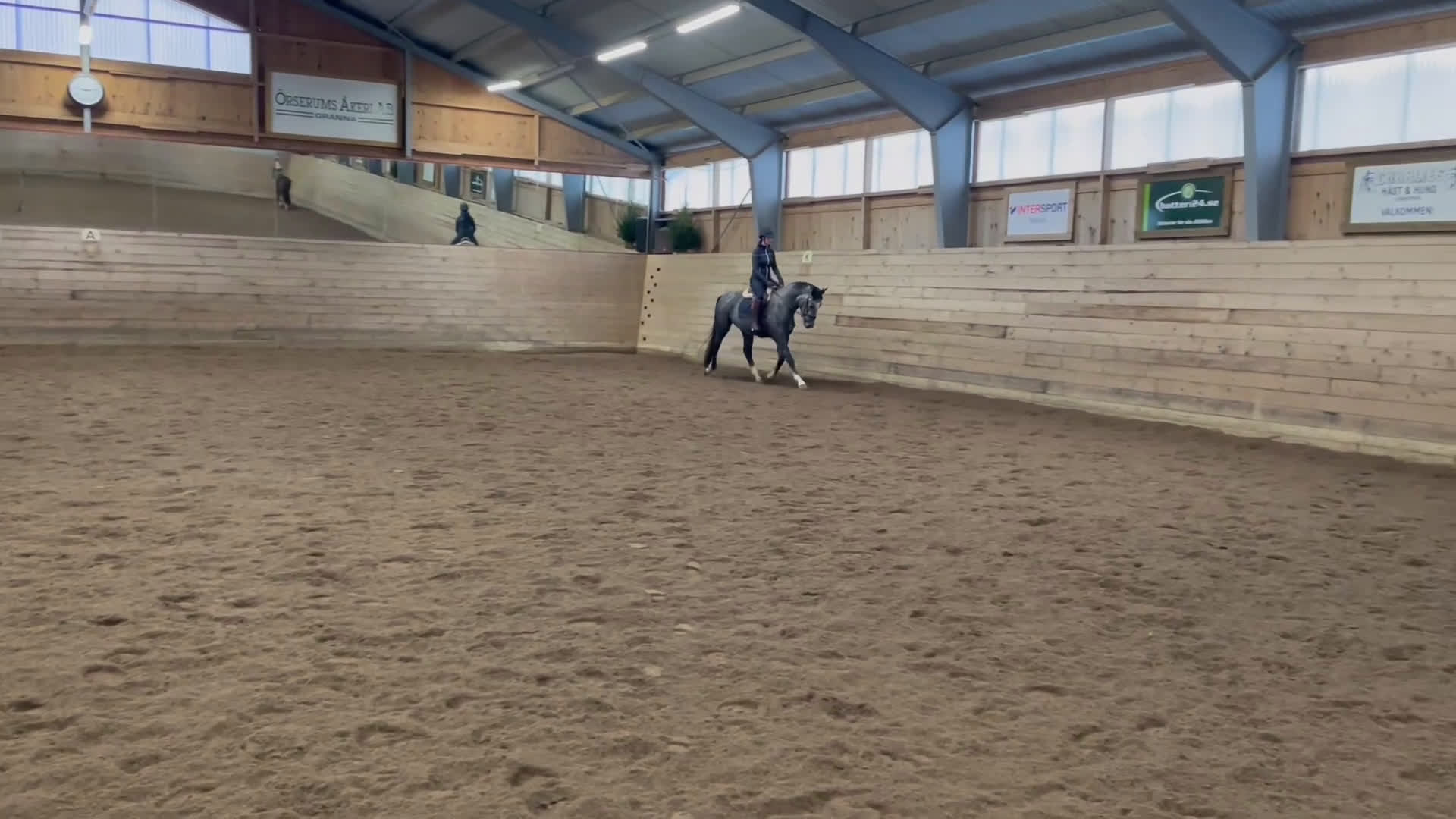 Dressyr hästar till salu: Fantastiskt litet sto i Aneby - Video 2