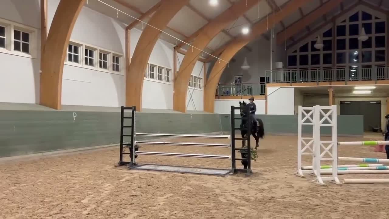 Allround hästar till salu: Underbar häst med största hjärtat!🌸 - Video 4