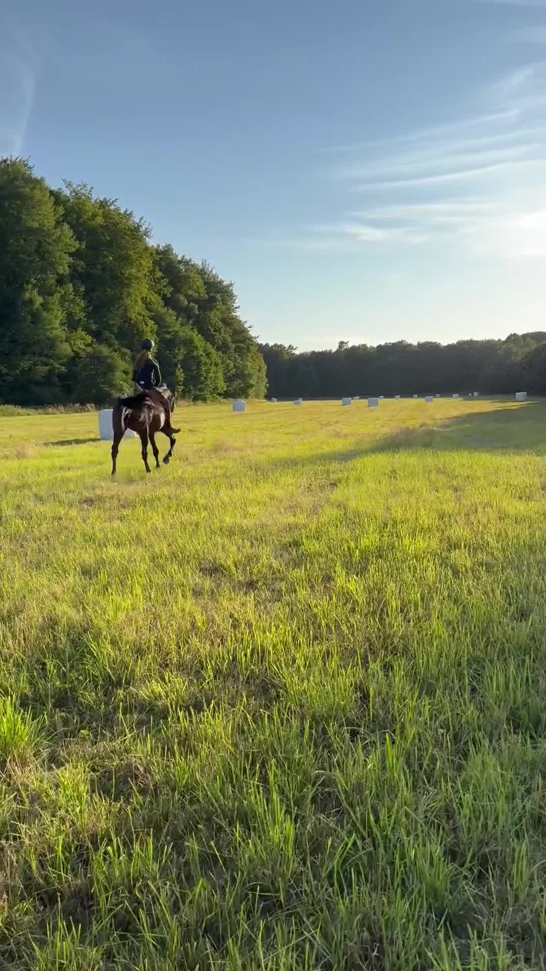  medryttarhäst sökes: Medryttare Sökes till supersnäll häst i Ronneby - Video 2