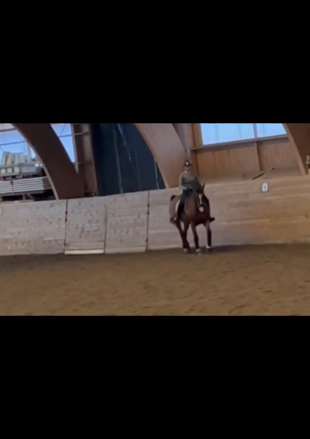 Dressyr hästar till salu: Reserverad! Snäll och okomplicerad läromästare - Video 1