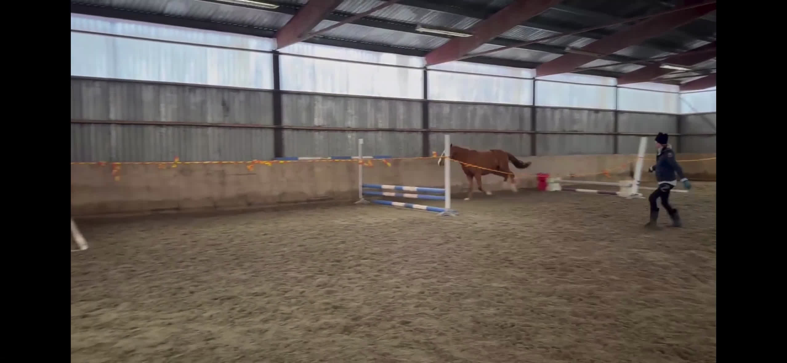 Hoppning hästar till salu: Mycket trevlig 3åring  - Video 1