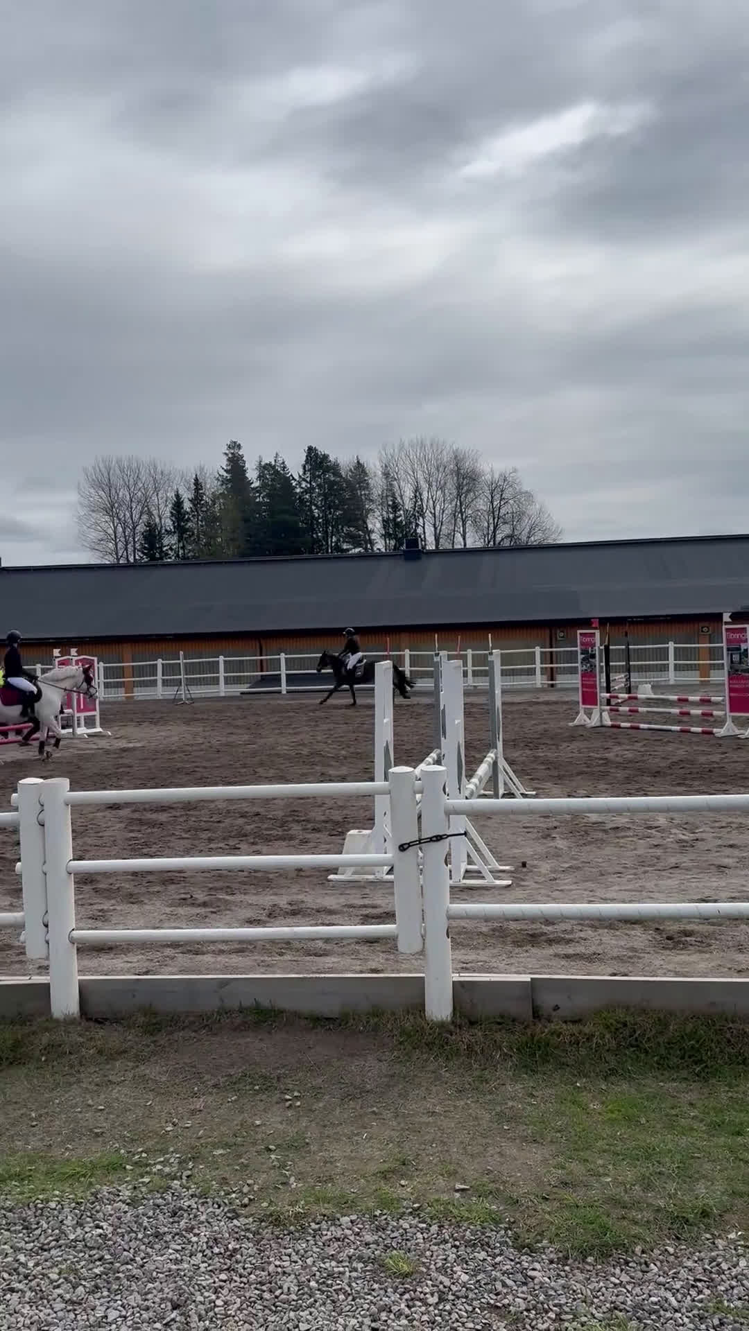 Hoppning hästar till salu: Världens snällaste C-Ponny - Video 2