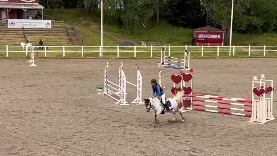 Hoppning hästar till salu: SM B-Ponny - Video 1