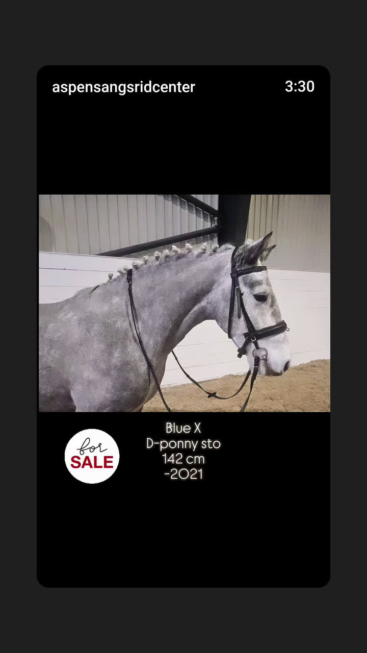 Allround hästar till salu: Drömponny! i Lindesberg - Video 1