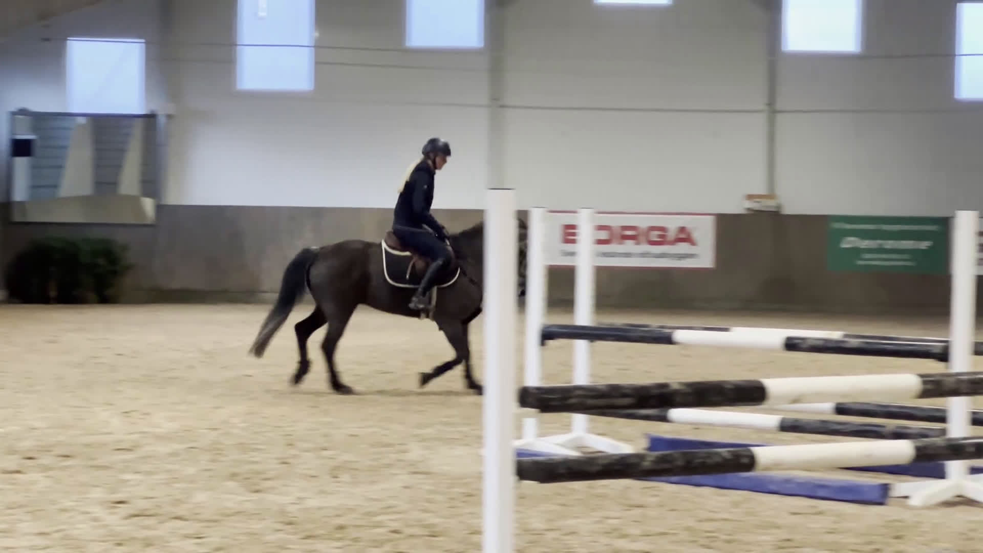 Hoppning hästar till salu: C-ponny med stort hopp och hög ridbarhet i Kungsbacka - Video 5