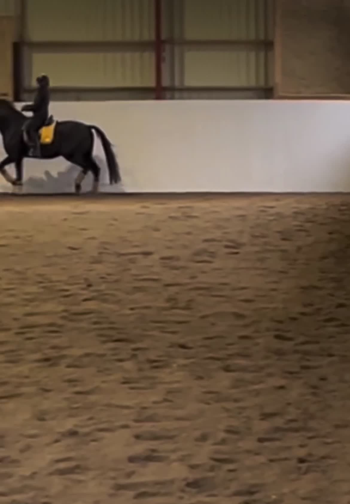 Dressyr hästar till salu: Val f.2016 e.Ampere - De Niro - Video 1