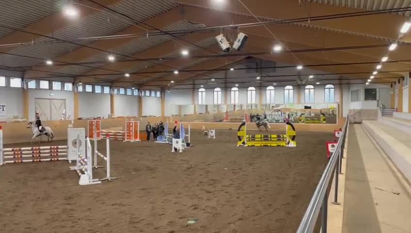 Allround hästar till salu: Maxad C-ponny - Video 4