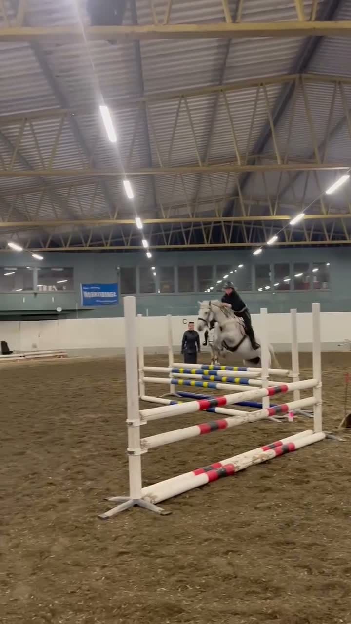 Hoppning hästar till salu: Genomsnäll ponny med kapacitet! - Video 3