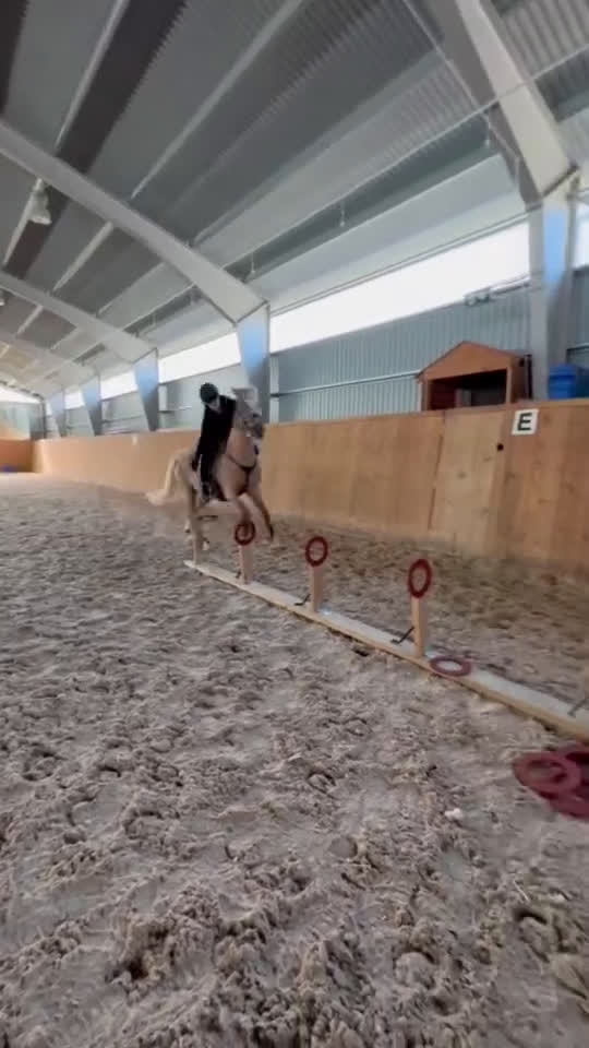 Allround hästar till salu: Guldponny söker ny bästa vän i Visby - Video 1