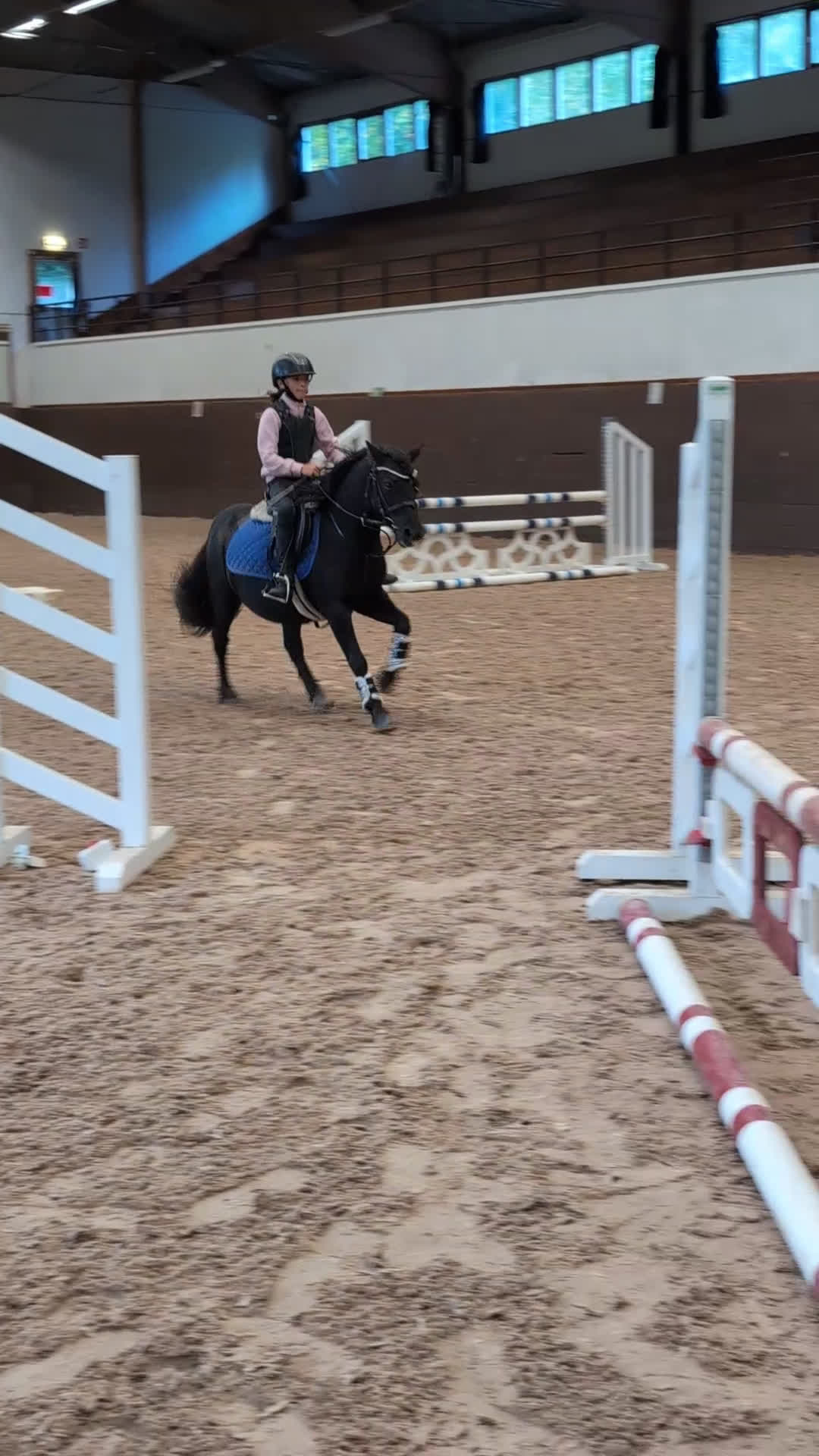 Allround hästar till salu: Charmig ponny i Torshälla - Video 5